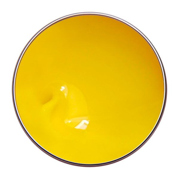 PAINTING GEL SUNNY YELLOW 3g